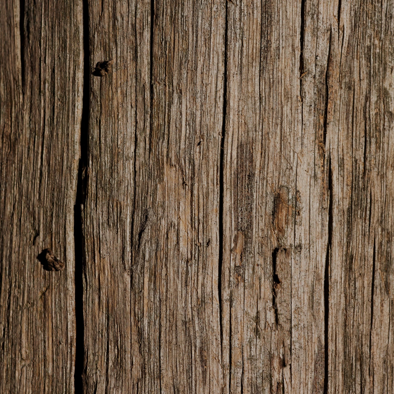 procurement services