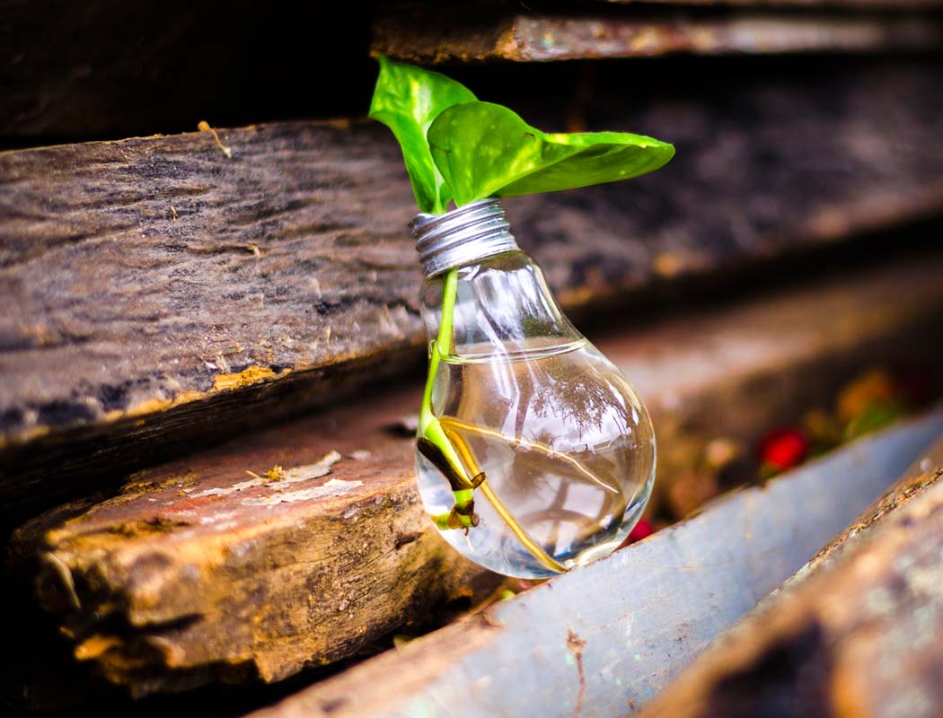 Outsourced Energy Management